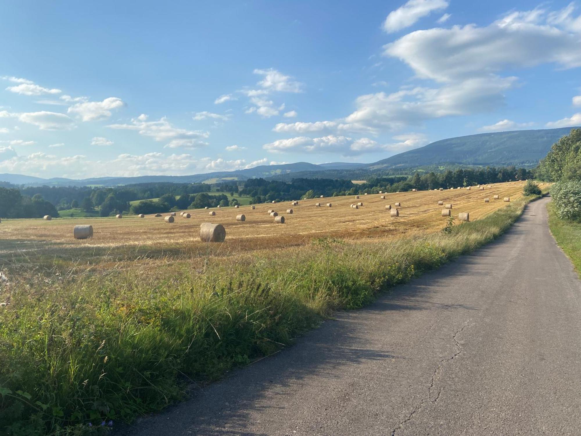 Chalupa Janovice Rudník Exterior foto