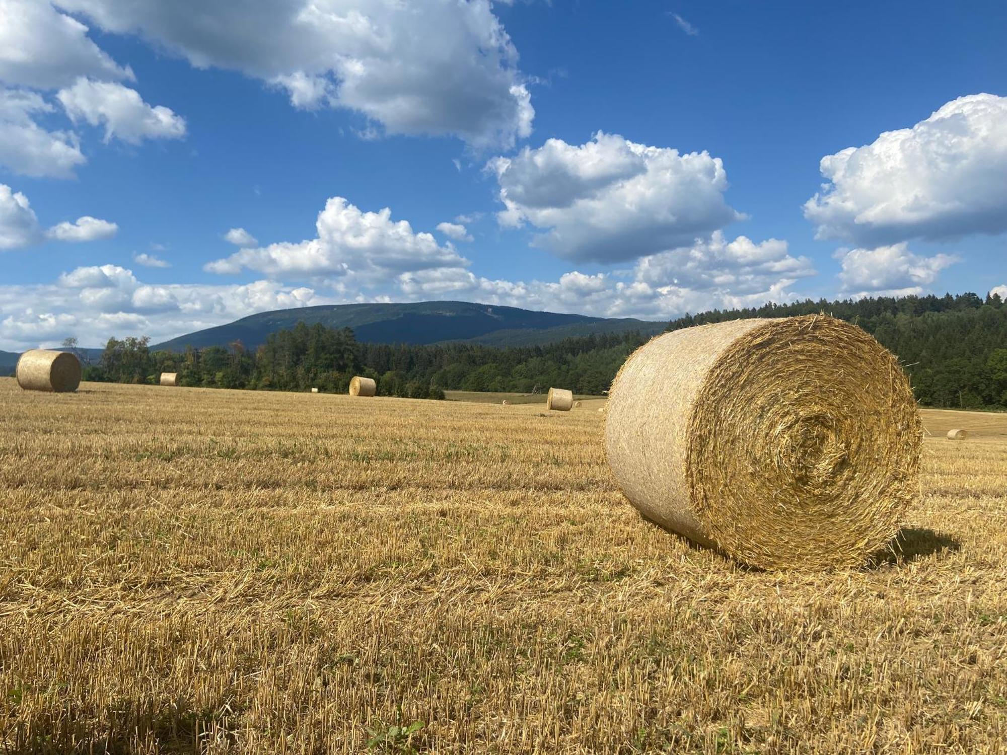Chalupa Janovice Rudník Exterior foto