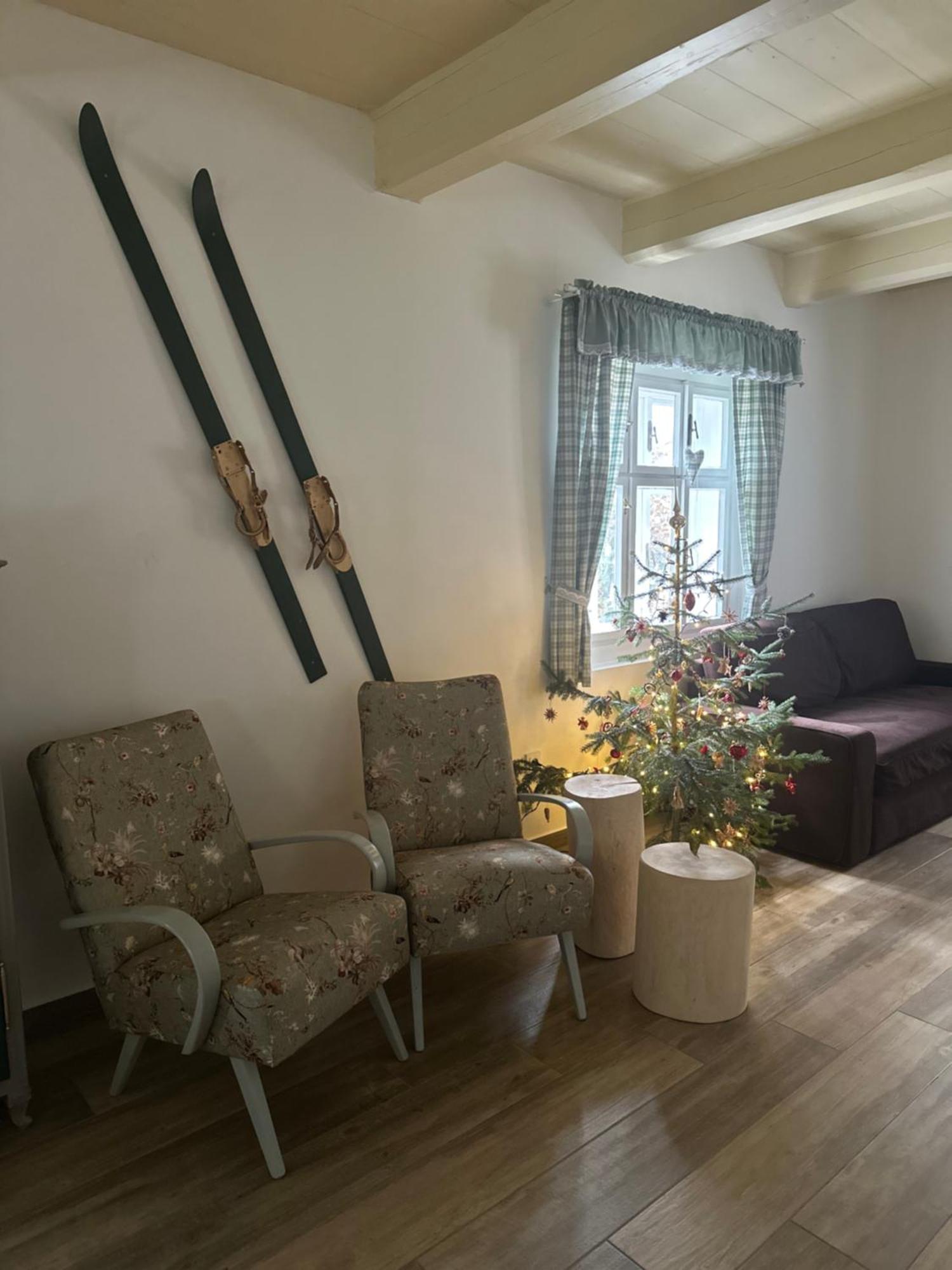 Chalupa Janovice Rudník Exterior foto